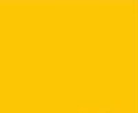Raipolenhandlauf 30x8 mm gold