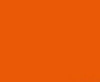 Raipolenhandlauf 40x8 mm orange