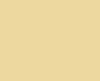 Raipolenhandlauf 40x8 mm elfenbein