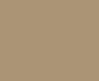 Raipolenhandlauf 40x8 mm graubeige