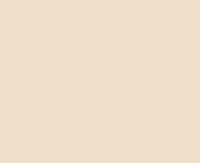 Raipolenhandlauf 40x8 mm perlweiß