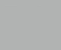 Raipolenhandlauf 40x8 mm graualuminium