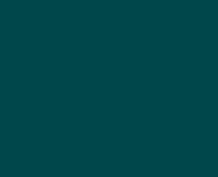 Raipolenhandlauf 40x8 mm blaugrün