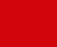 Raipolenhandlauf 40x8 mm marsrot